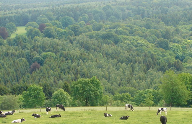 Grand Villa With Bubble Bath - Photo 67