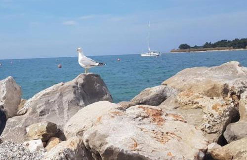 Apartments Relax Zone - Foto 73