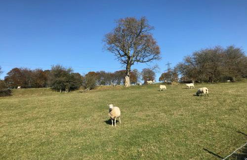 Little Pyes barn - Foto 23