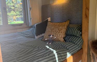 Chez Marguerite Shepherd's Hut with Private Sauna, Outside Bath - Foto 30