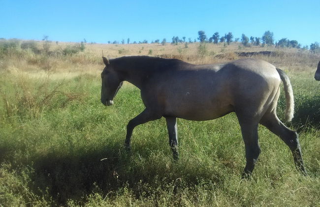 La Casa Grande de Adolfo - Photo 27