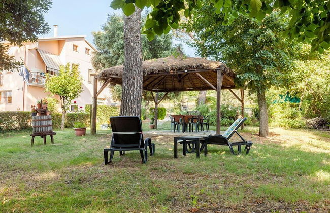 Artisti del Cavallo Tourism - Foto 30