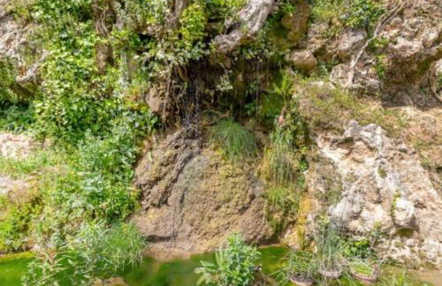 Molino del Caracol - Photo 68