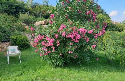 Giulianahouse - Foto 42