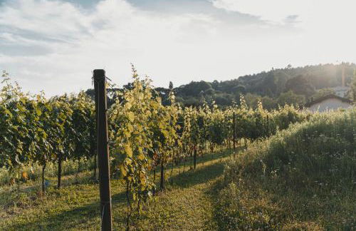 Tenuta Ronco Regio - Photo 17