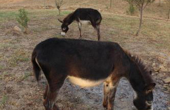 Maremma che vista! - Foto 38
