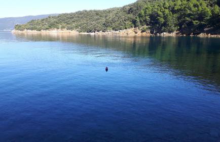 Valun Seaside Apartments - Foto 49