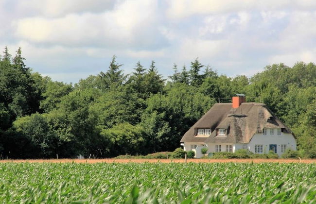 Westerheide Modern Retreat - Foto 24