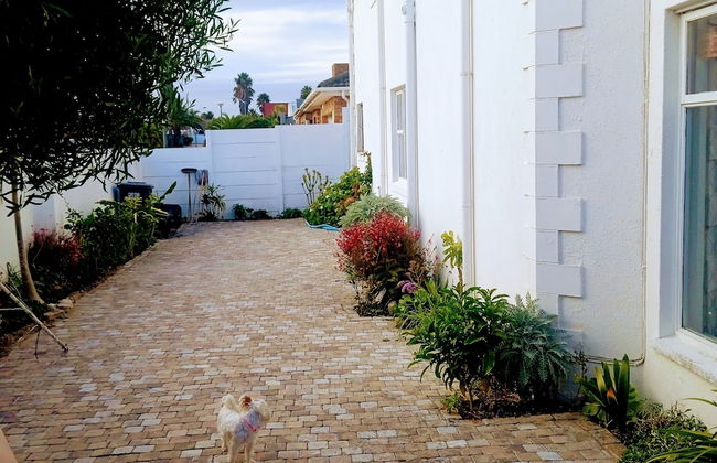 Room in Guest Room - Zagorski bed and Breakfast its Homestay .home Away From Home - Photo 22