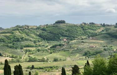Agriturismo La Fattoria di Capezzana - Photo 98