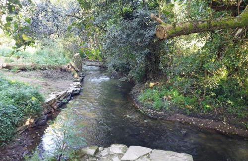 Casa Riquiña - Foto 27