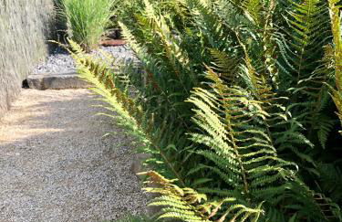 Ferienhaus Eifel-Auszeit - Foto 38