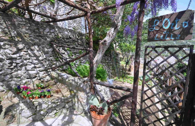 Villa With Terrace and sea View in Ravello ID 3196 - Foto 30