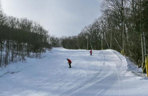 Ski-InandSki-Out! Mountain Creek Resort Condo - Foto 40