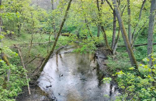 Leśna Chata kuracyjna nad rzeką z sauną w Borach Tucholskich - Foto 65