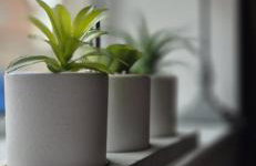 Cottage Corner NI - Foto 20