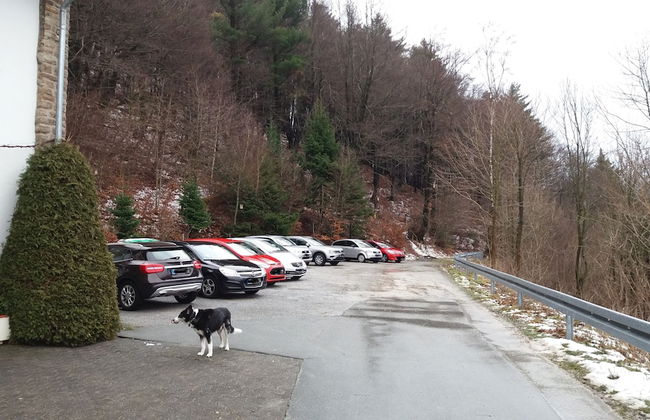 Kurmittelhaus Wagner Belvita - Photo 51