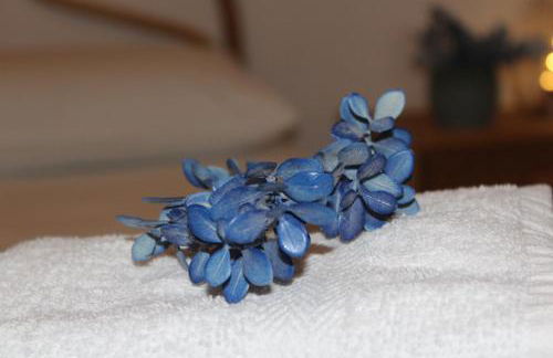 Casa Briseida - Foto 40