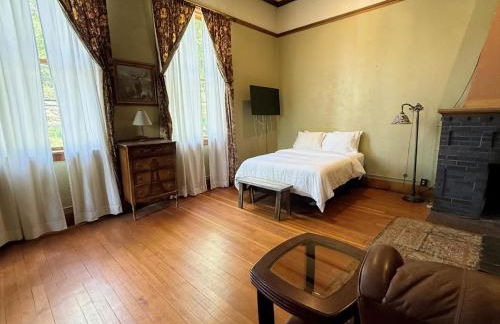 Above the Shot Harrisons Gem - Foto 8