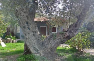 Bill's Garden Villa - Foto 54