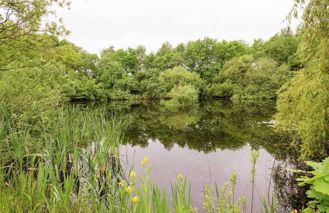 Secluded Farmhouse in Balkbrug with Hot Tub - Foto 40