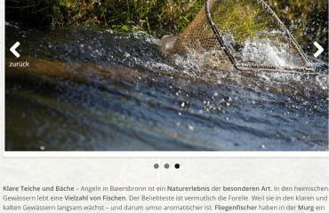 Ferienwohnung Schwarzwald Tannenzäpfle - Foto 76