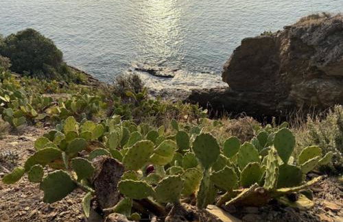 Entre Terre et Mer - Foto 34