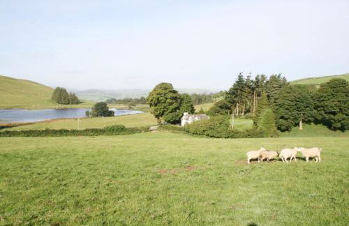 Llynhillyn Cottage - Foto 28