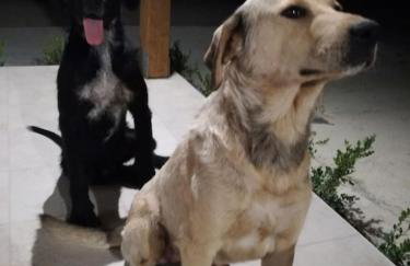 Casa vacanze "Ulivi nel Mare" - Foto 31