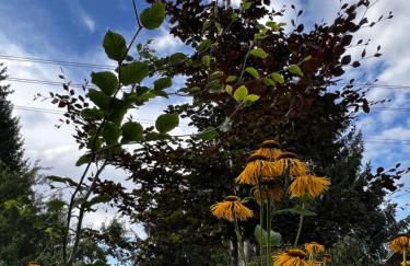 # 97 - die Ferienwohnung am Sachsenring - Foto 32