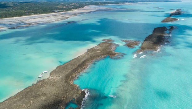 Você vai conhecer a Costa dos Corais