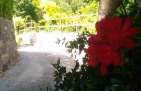 Casa Vacanze MODENA - Foto 6