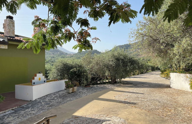 Agrolea Rodí Milici - Foto 44