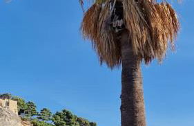 Le PORT MIOU près calanques de Cassis 2 chambres 6 personnes - Foto 46