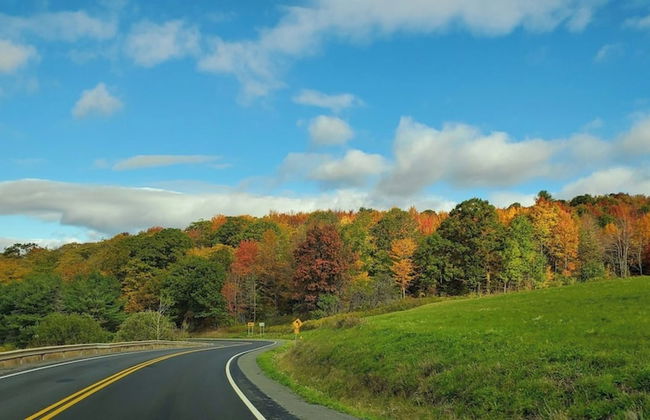 Catskill Retreat - Foto 66