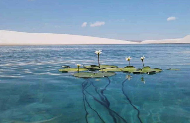 Escursione alla Lagoa Azul - Foto 6