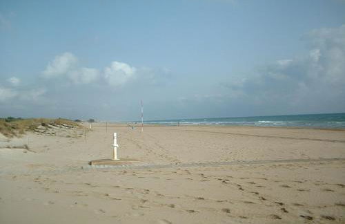 Oliva Nova Golf - Photo 16