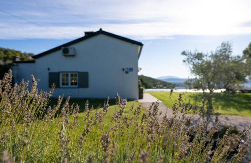 Casa Mille Olivi - Peaceful Lake View House, Private 50m2 Pool, near Motovun - Photo 42