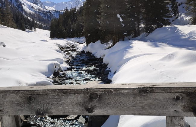 Mascherhof - Foto 51