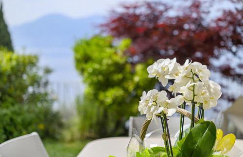 Residence La Mignon Oleandri - Photo 10