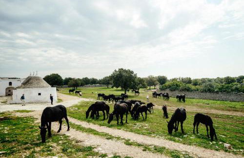 Masseria Tagliente - Foto 45