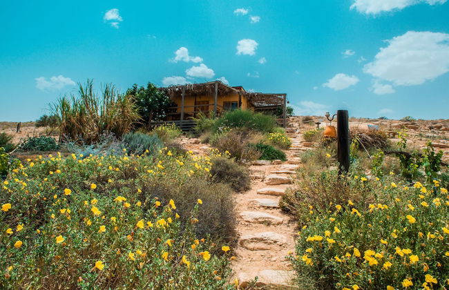 Carmey Avdat Farm - Foto 2