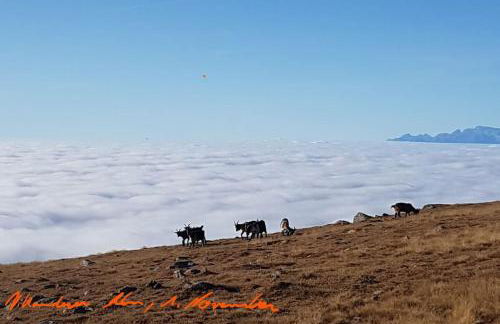 Dolomiten View - South Tyrol - Foto 22