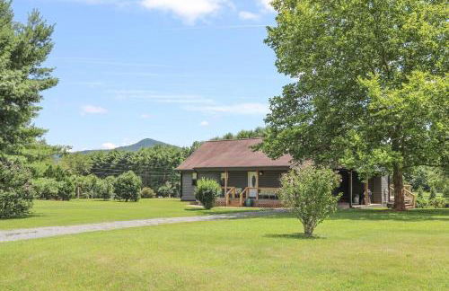 Sycamore Shade - Foto 2