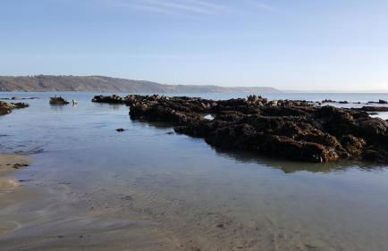 Romantic Hot Tub Breaks Marthys House Looe Polperro Talland Bay - Foto 36