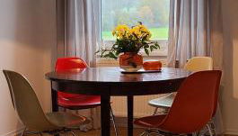 Ferien-und Monteurwohnung 'Friedersdorfer Mühle' - Foto 1