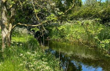 Oyster Barn sleeps six, North Norfolk - Foto 37