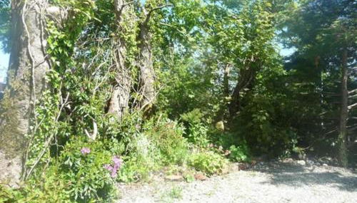 Crofter's Cottage - Photo 5