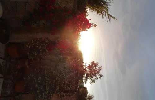 TheNi Olive Grove Villa - Foto 41