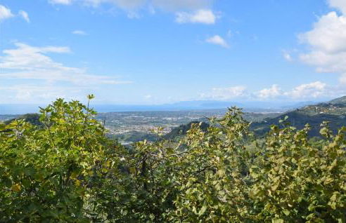 Rustico Antonella - Foto 18